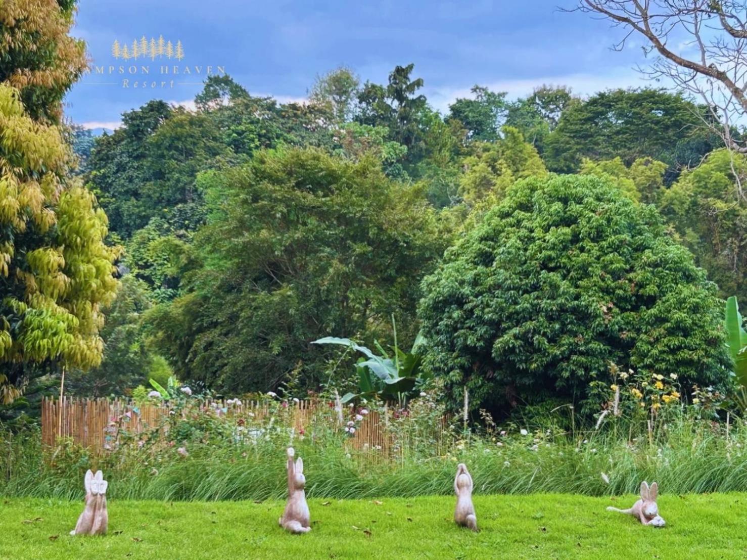 Campson Heaven Resort كاو كو المظهر الخارجي الصورة